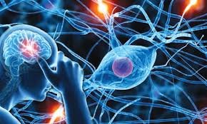 How doctorhub360.com Neurological Diseases Insights Are Changing Patient Care and Diagnosis