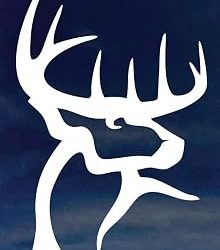 Buck Graphics: Review & Buyer’s Guide (2026)