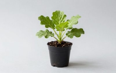 Best Grow a Garden Pets to Make You Rich Fast